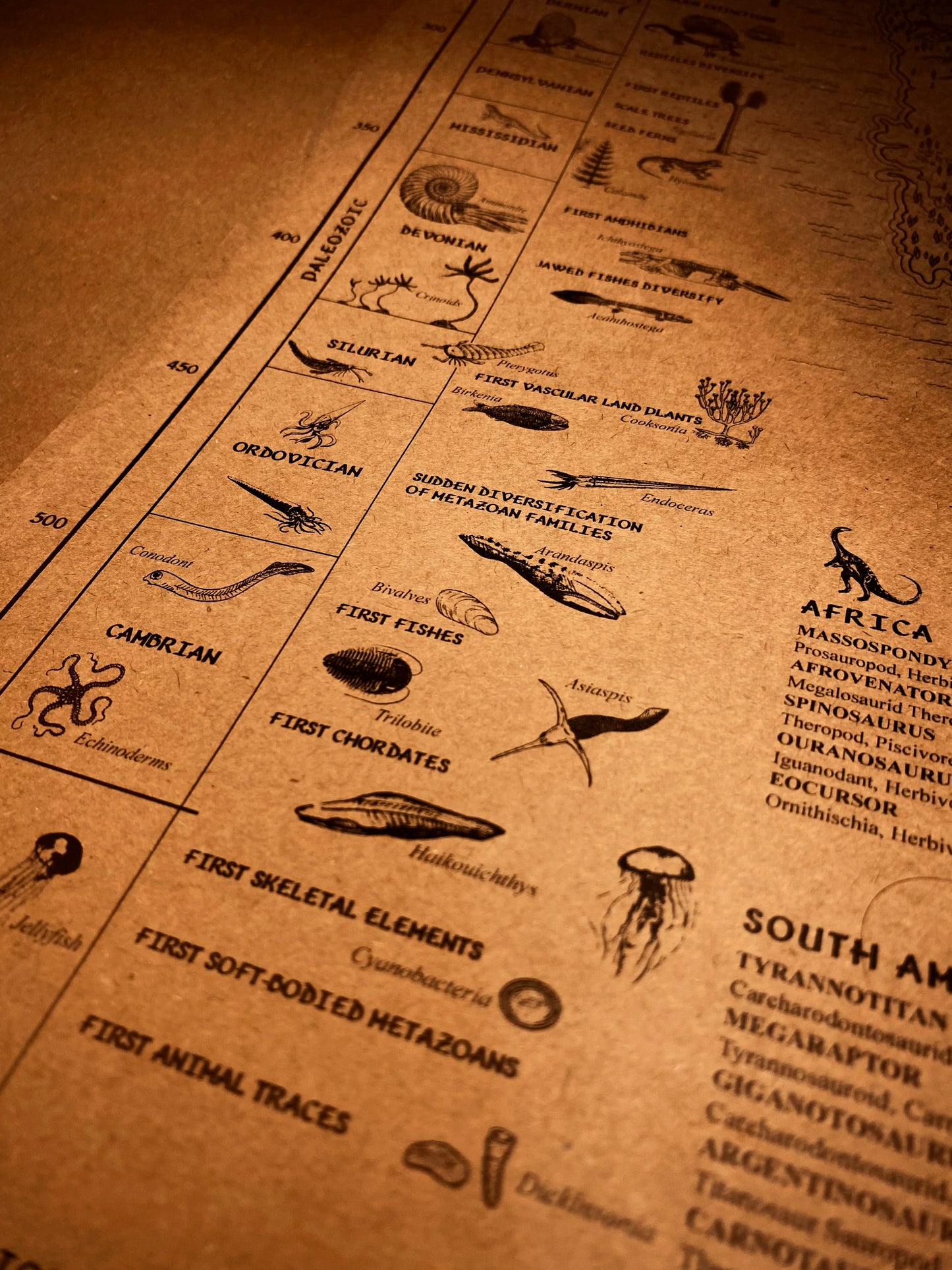 The Speculative Map of Supercontinent Pangaea