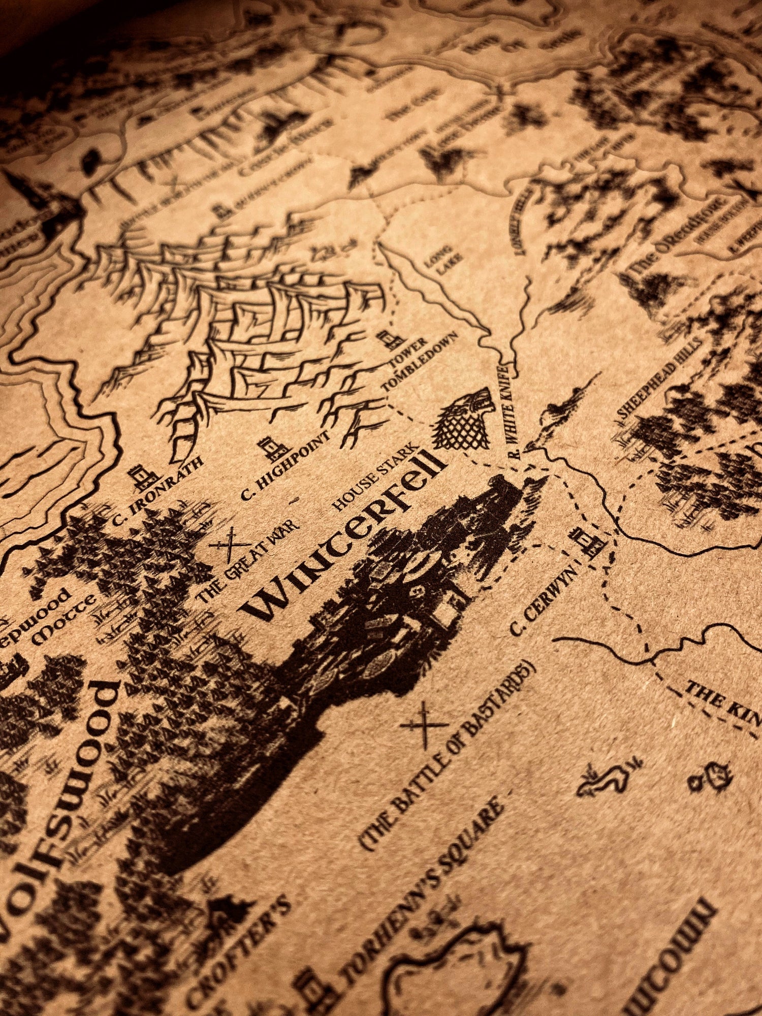 Medieval Worlds