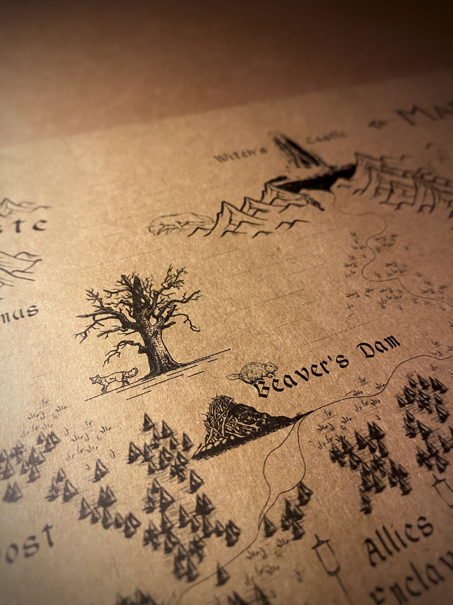 The Chronicles of Narnia World Map