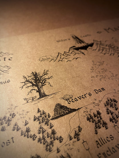 The Chronicles of Narnia World Map