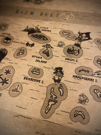 Carte du monde One Piece, Affiche de Monkey D Luffy