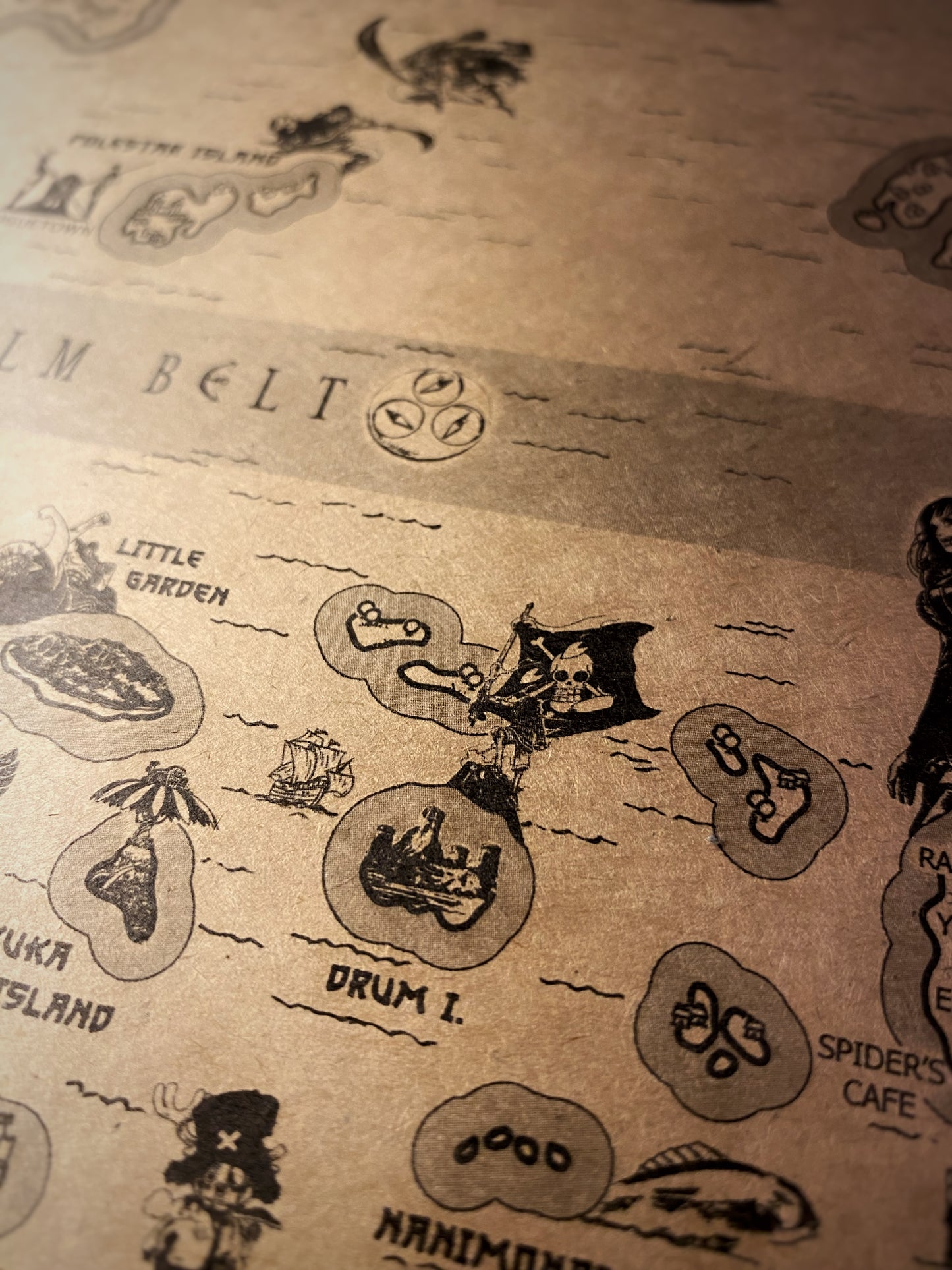 Carte du monde One Piece, Affiche de Monkey D Luffy