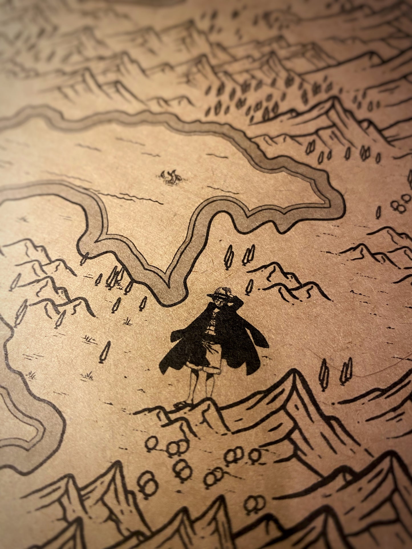 Carte du monde One Piece, Affiche de Monkey D Luffy