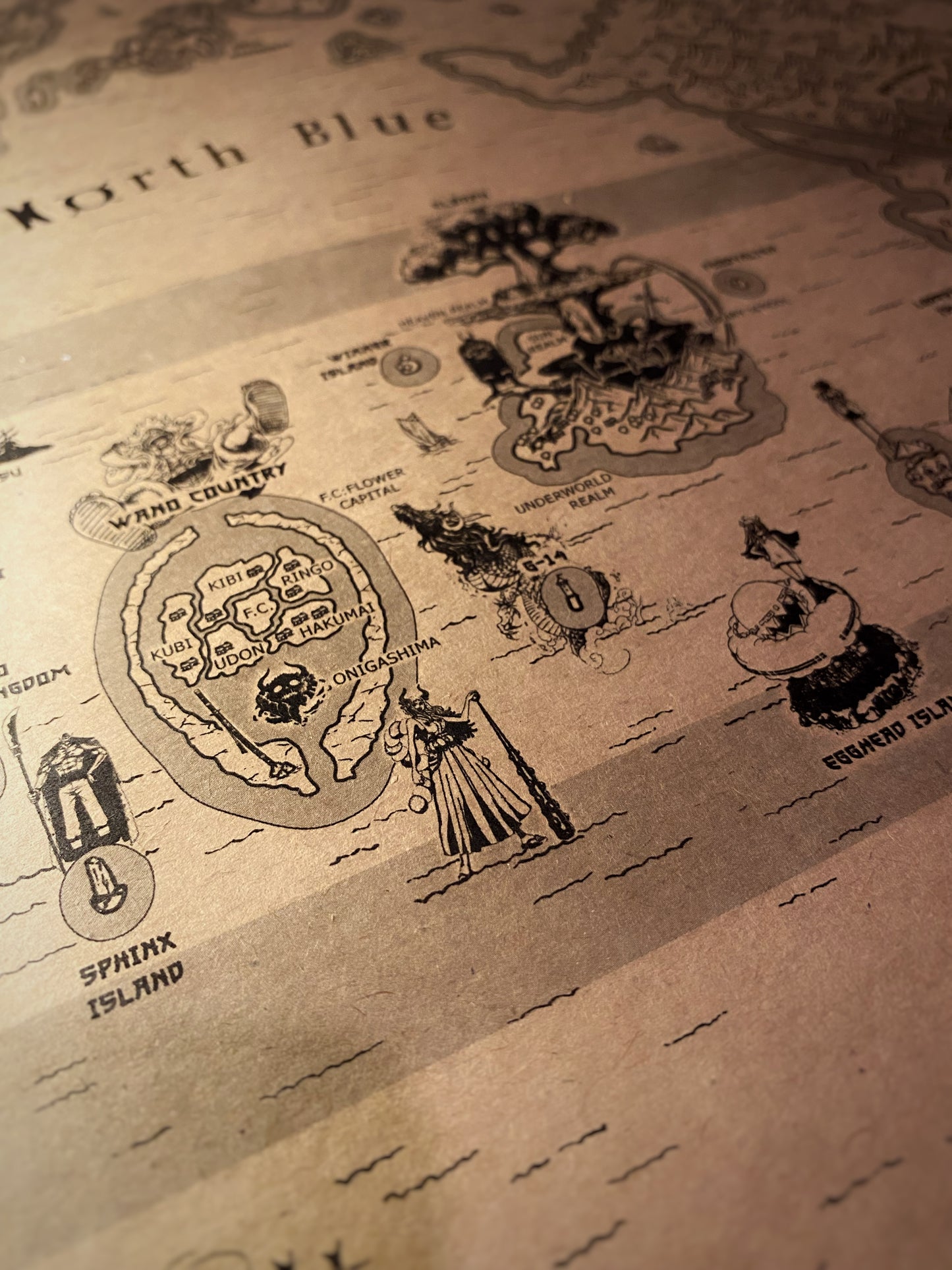 Carte du monde One Piece, Affiche de Monkey D Luffy