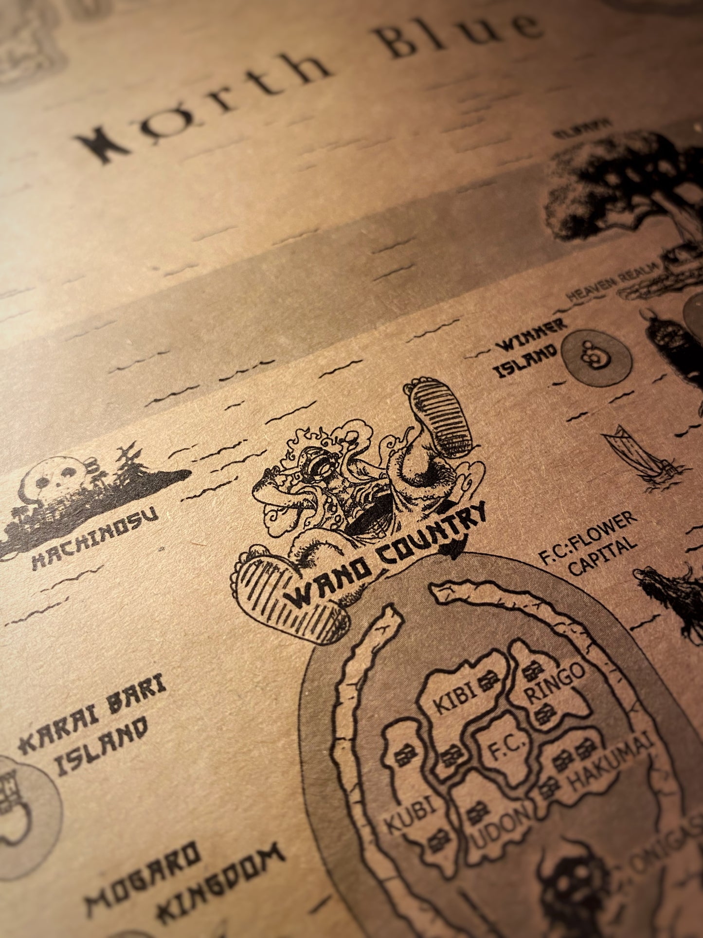 Carte du monde One Piece, Affiche de Monkey D Luffy