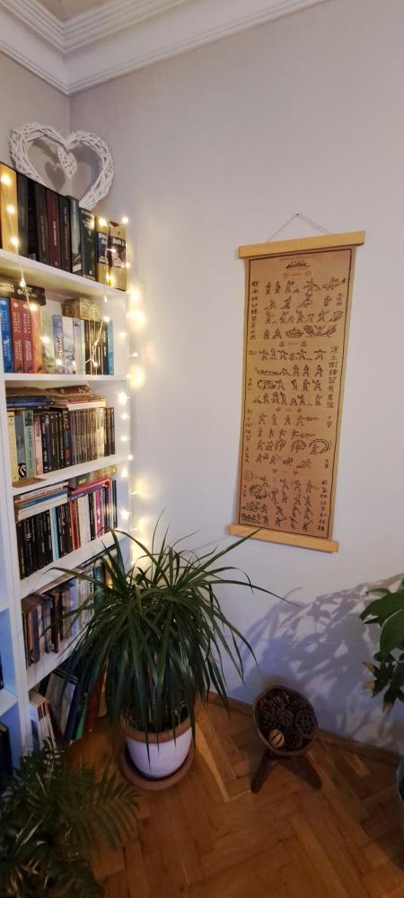 Mapa del mundo de One Piece, Póster de Monkey D. Luffy