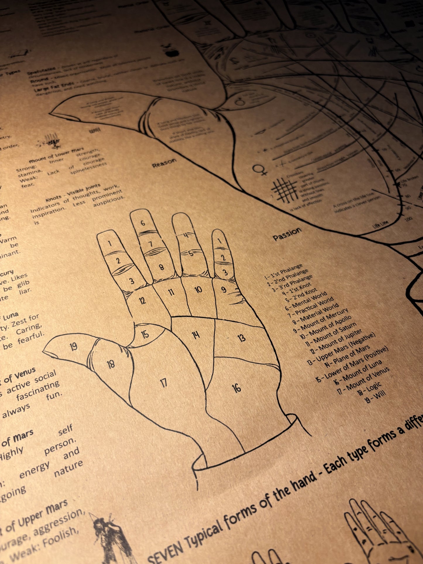 Palm Chart Wall Art, Palmistry Poster