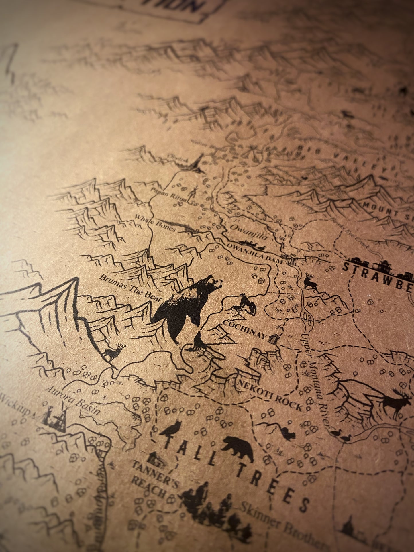 Red Dead Redemption Speculative Game Map, RDR Poster
