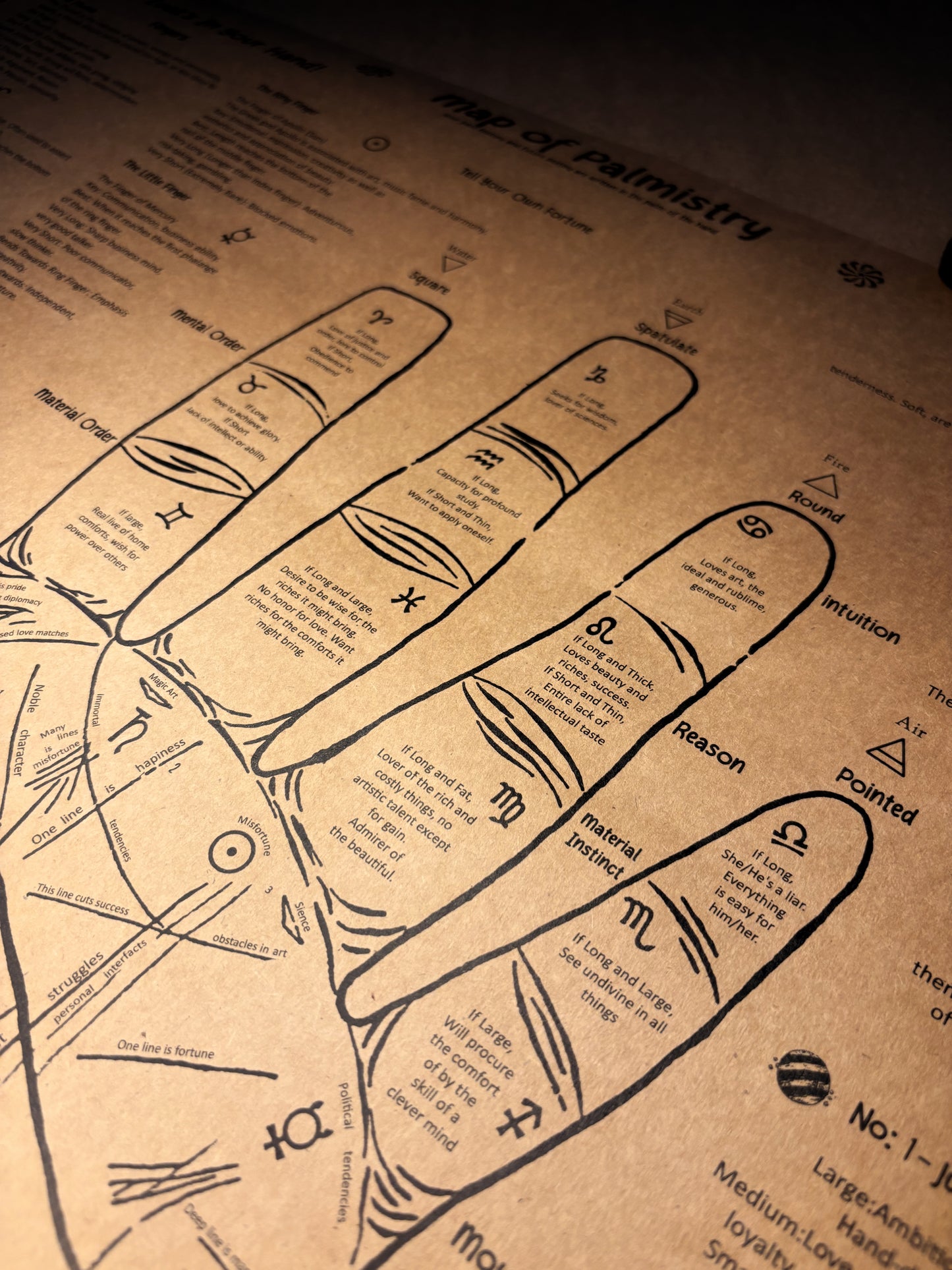 Palm Chart Wall Art, Palmistry Poster