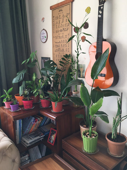 Mapa del mundo de One Piece, Póster de Monkey D. Luffy