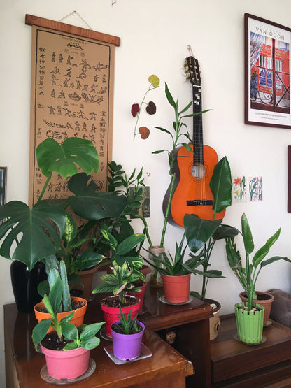 Mapa del mundo de One Piece, Póster de Monkey D. Luffy