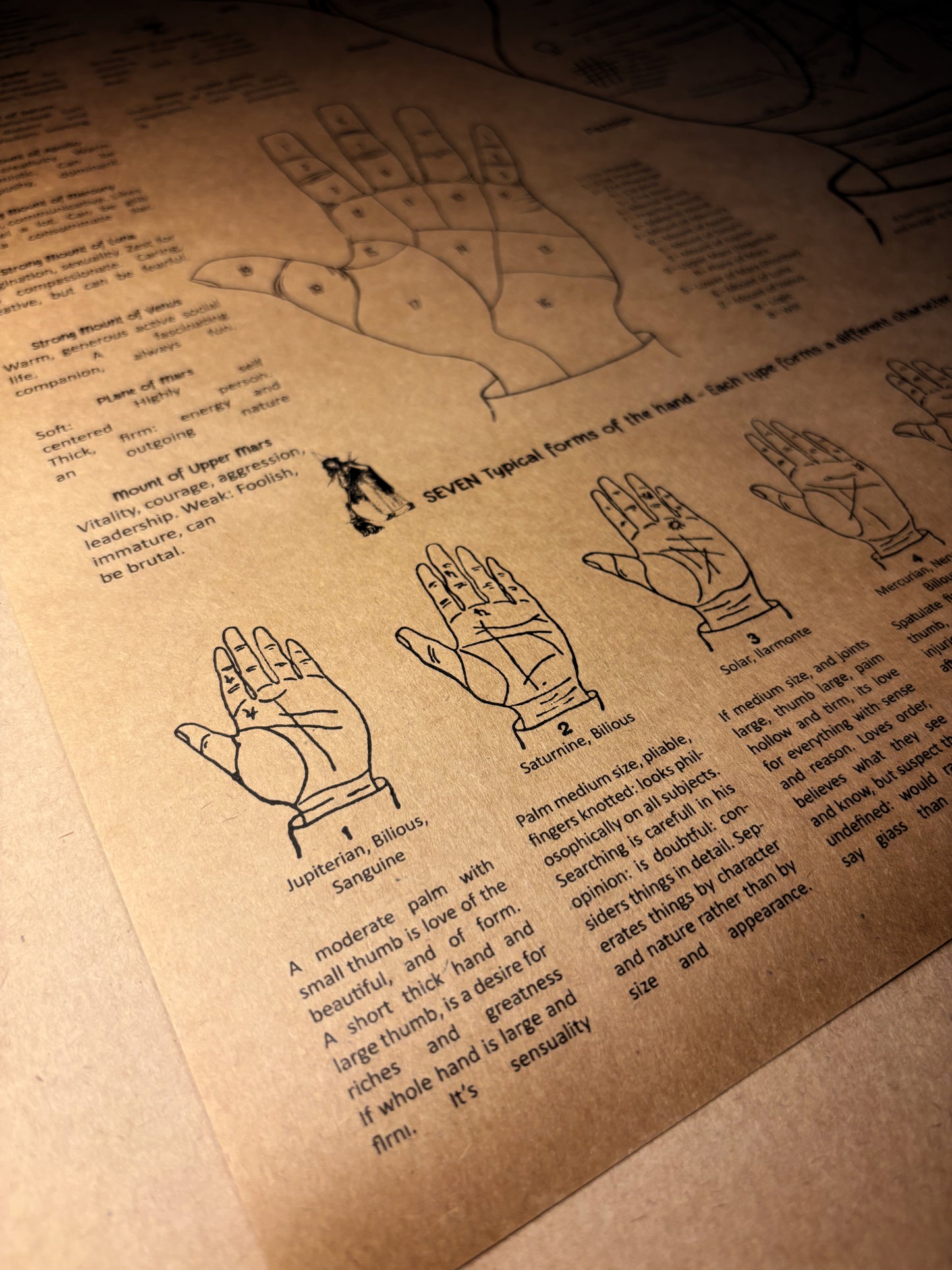 Palm Chart Wall Art, Palmistry Poster