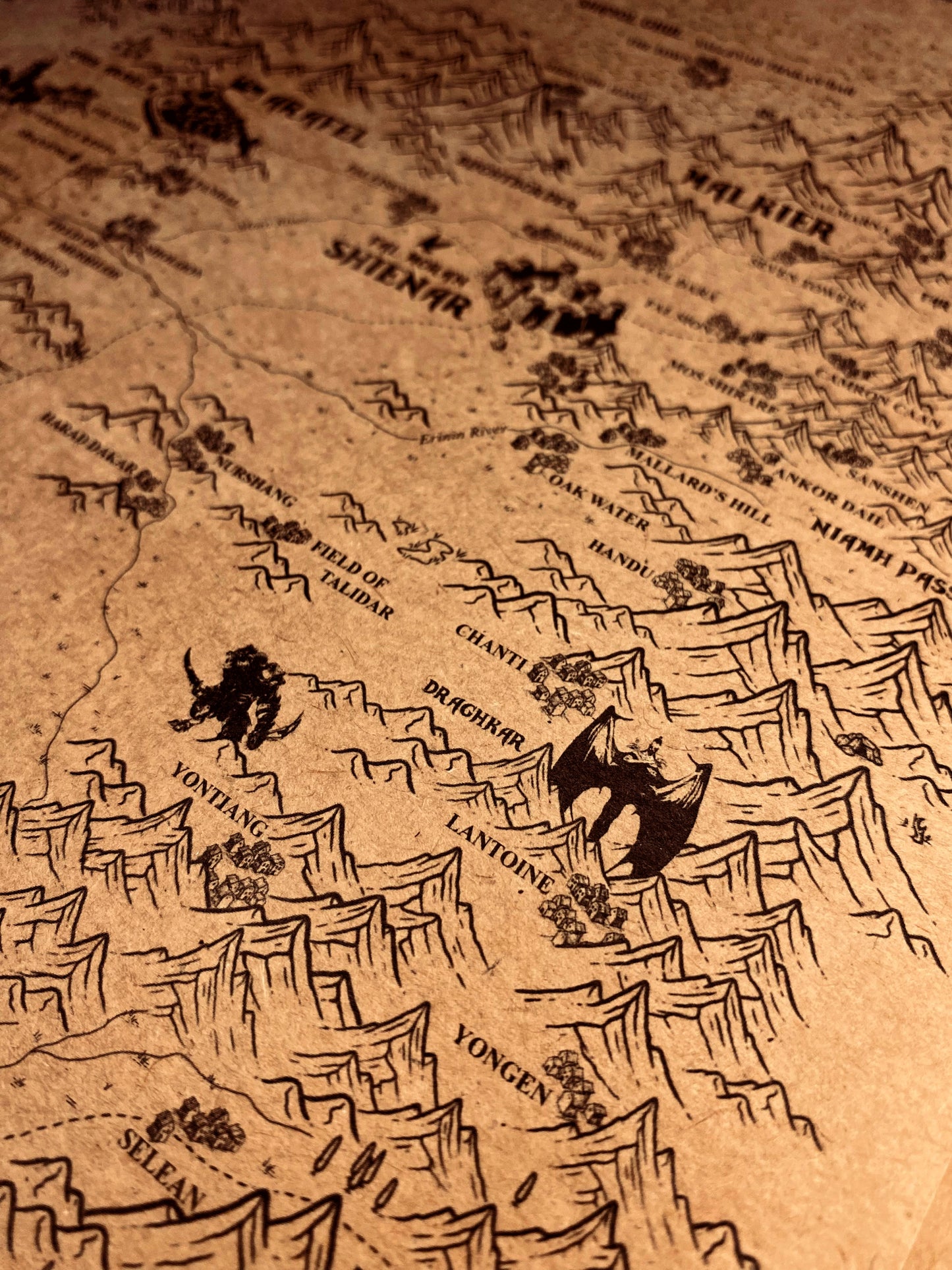 Carte du monde One Piece, Affiche de Monkey D Luffy